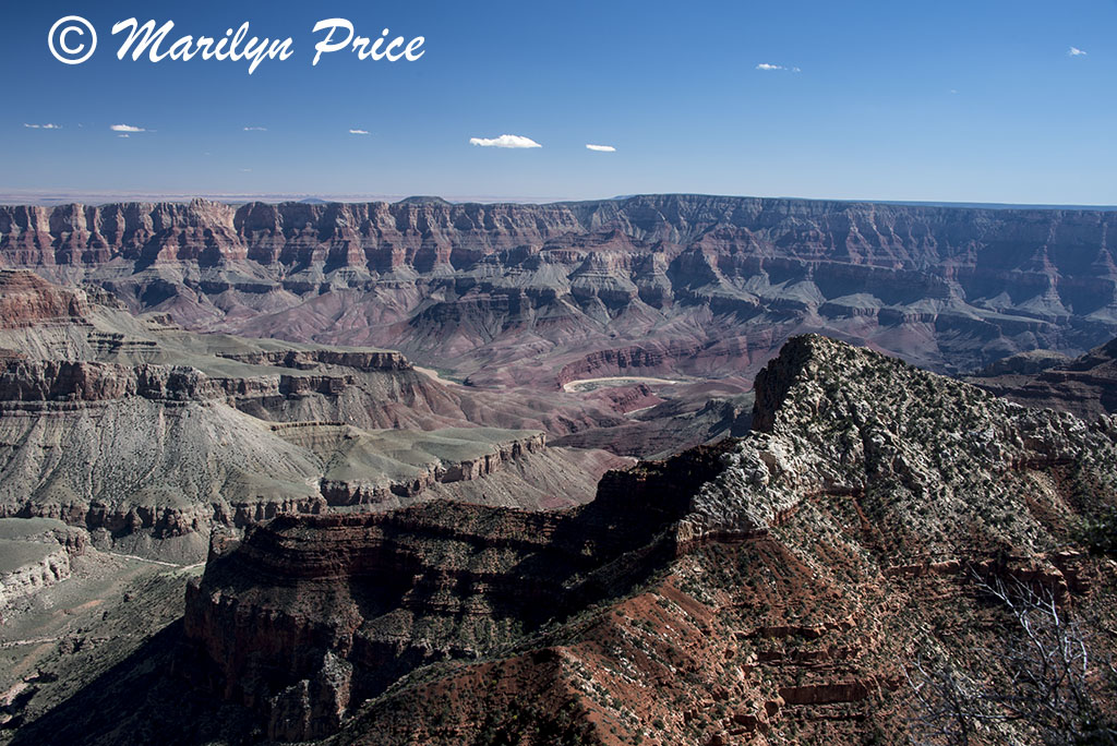 Cape Royal Trail, on Cape Royal road, Grand Canyon National Park, AZ