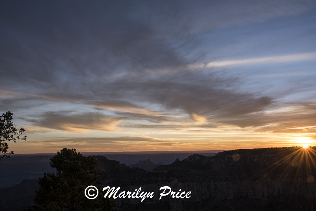 Sunset near the Lodge, Grand Canyon National Park, AZ