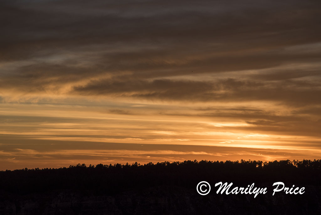 Sunset near the Lodge, Grand Canyon National Park, AZ