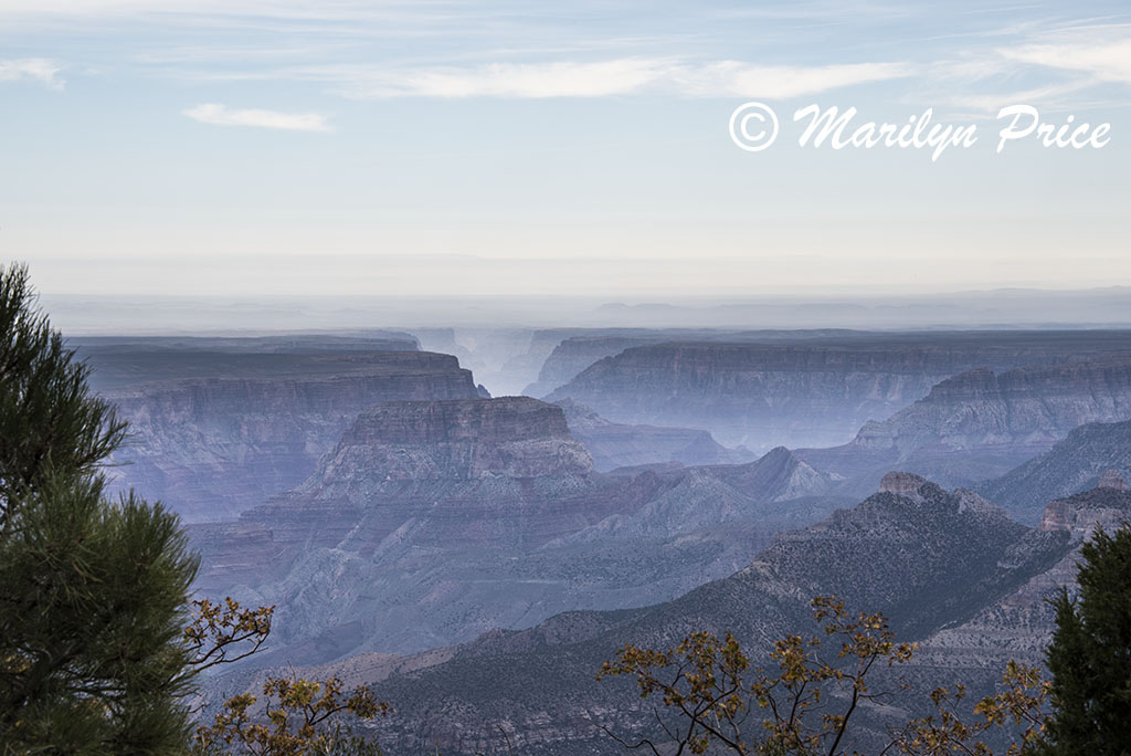 Point Imperial, North Rim, Grand Canyon National Park, AZ
