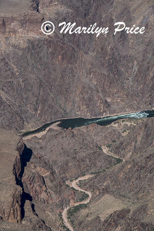 Colorado River from Pima Point, Grand Canyon National Park, AZ