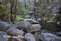 Looking downstream along Oak Creek, Oak Creek Canyon, AZ