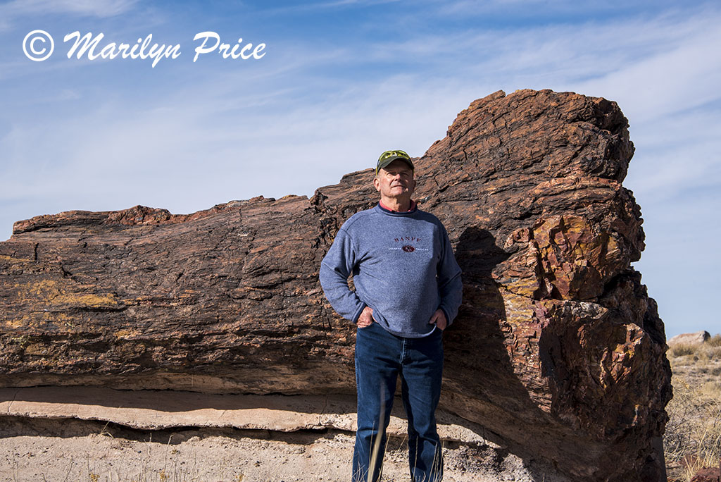 Carl emulates early photo of Albert Einstein taken next to 'Old Faithful', Giant Logs Trail, Petrified Forest National Park, AZ