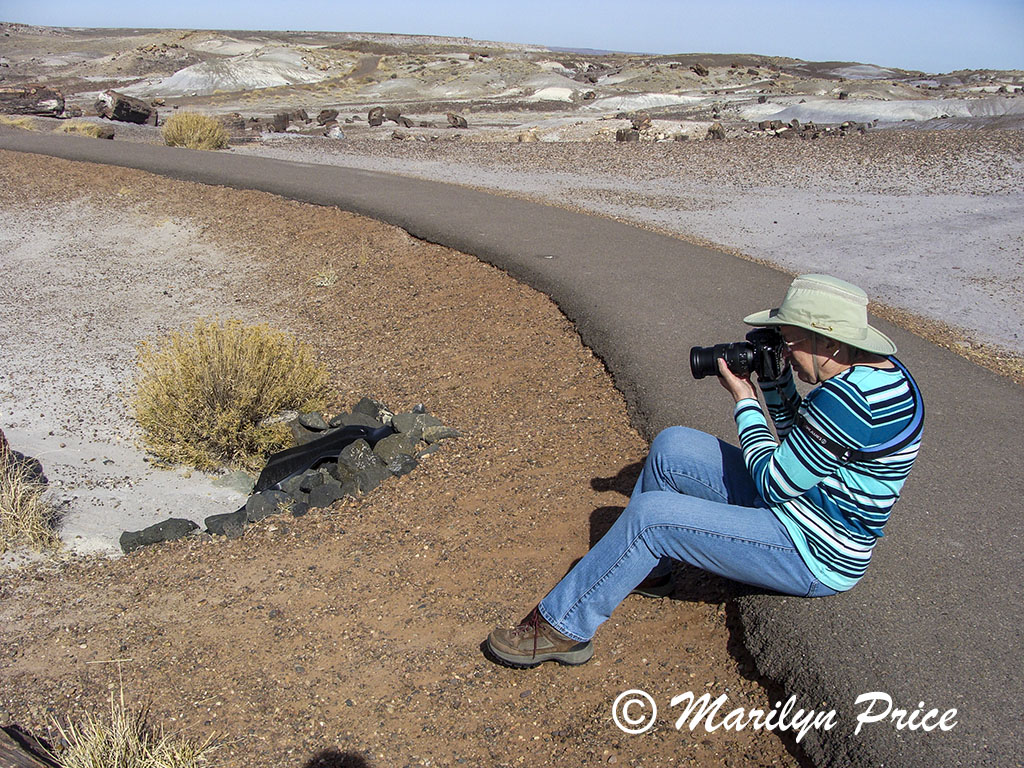 Marilyn shooting at Crystal Forest, Petrified Forest National Park, AZ