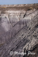 Colorful badlands, Crystal Forest, Petrified Forest National Park, AZ