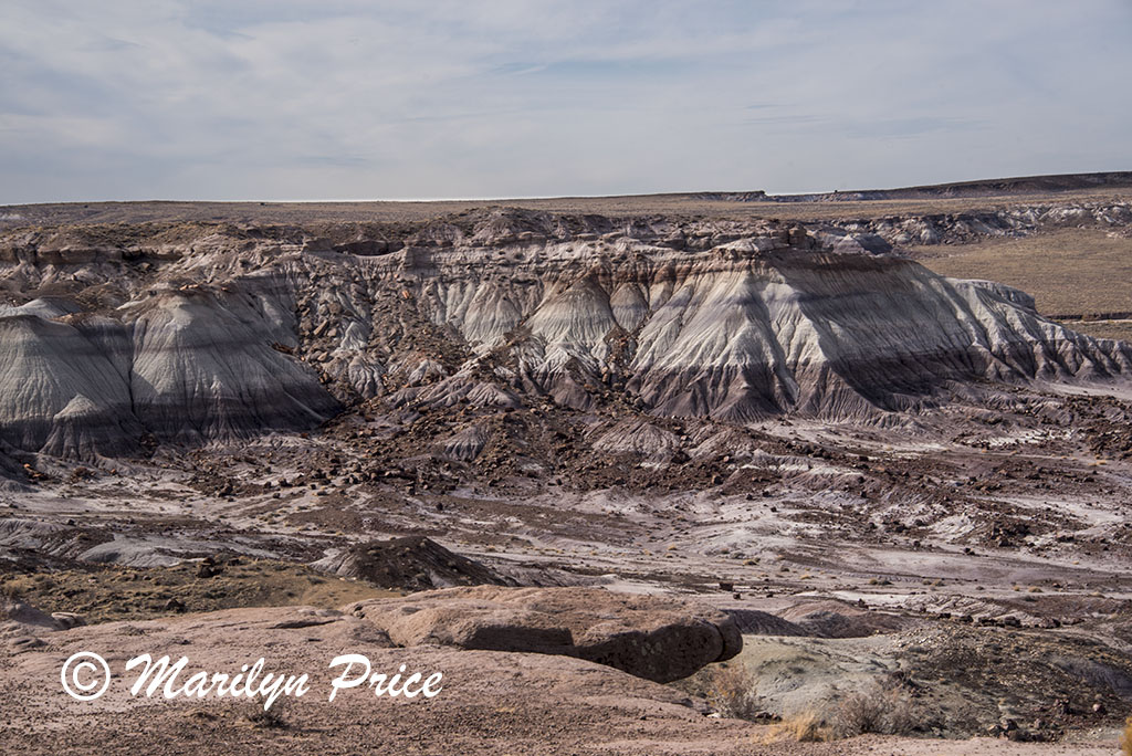 Badlands and petrified wood chunks, Jasper Forest, Petrified Forest National Park, AZ
