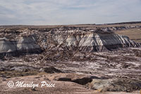 Badlands and petrified wood chunks, Jasper Forest, Petrified Forest National Park, AZ