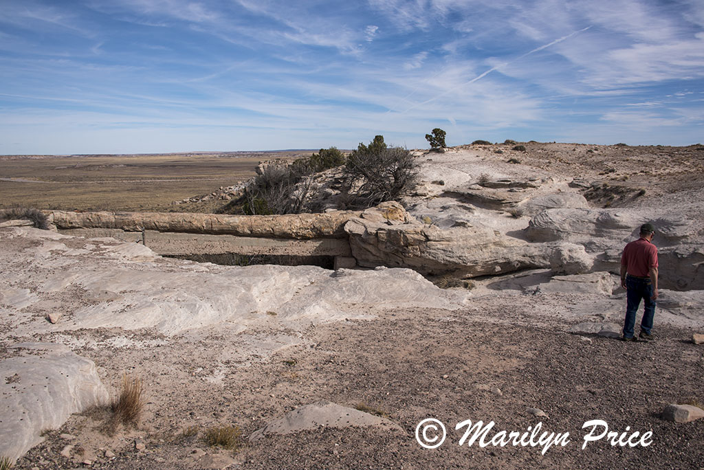 Carl and the Agate Bridge, Petrified Forest National Park, AZ