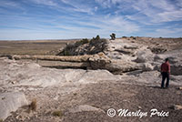 Carl and the Agate Bridge, Petrified Forest National Park, AZ