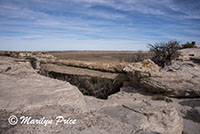 Agate Bridge, Petrified Forest National Park, AZ