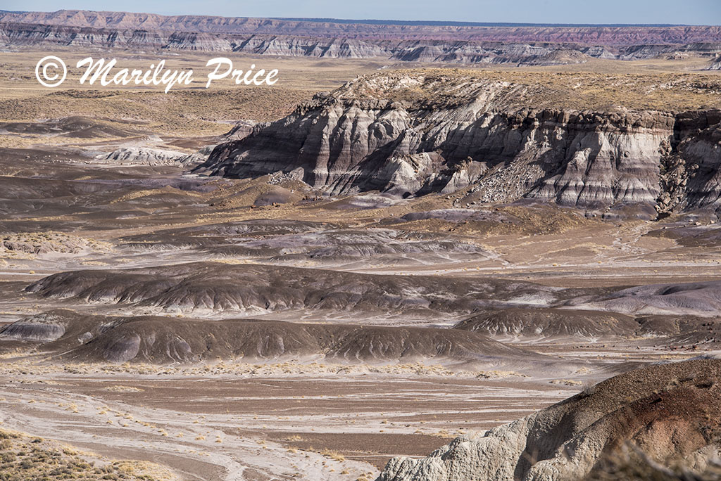 Blue Mesa, Petrified Forest National Park, AZ