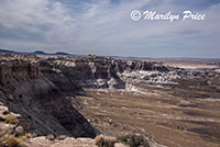 Blue Mesa, Petrified Forest National Park, AZ