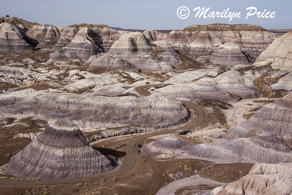 Blue Mesa, Petrified Forest National Park, AZ
