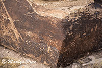 Petroglyphs, Newspaper Rock, Petrified Forest National Park, AZ