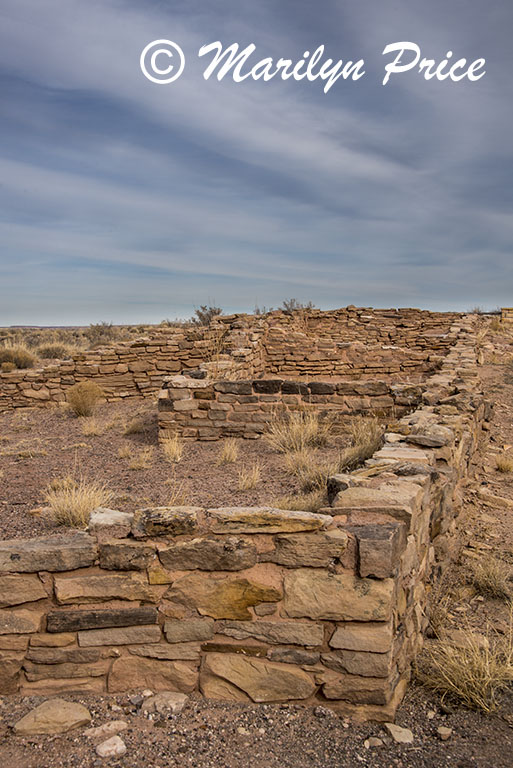 Pueblo ruins, Puerco Pueblo, Petrified Forest National Park, AZ