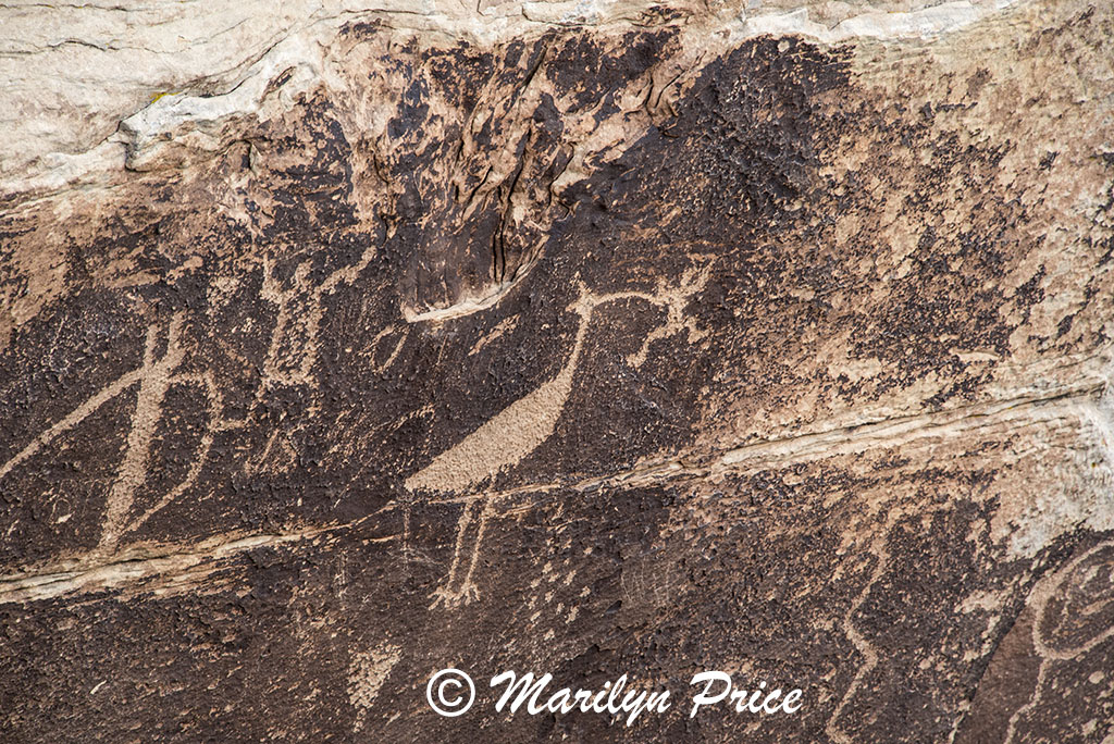 Petroglyphs, Puerco Pueblo, Petrified Forest National Park, AZ