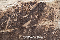 Petroglyphs, Puerco Pueblo, Petrified Forest National Park, AZ