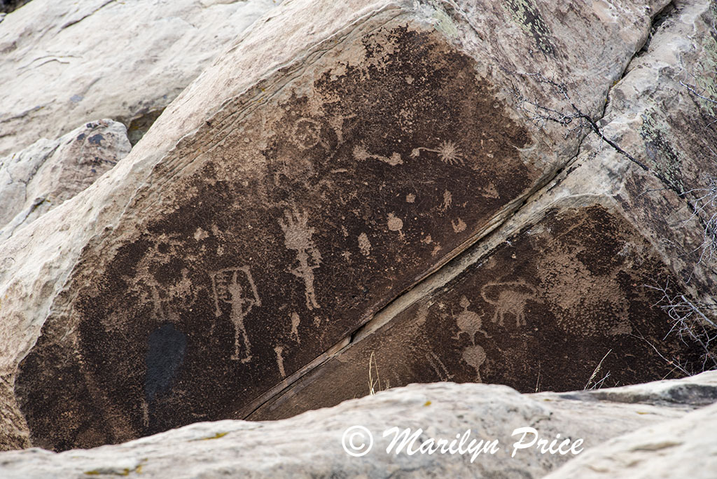 Petroglyphs, Puerco Pueblo, Petrified Forest National Park, AZ