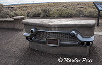 1932 Studebaker grill on old Route 66, Petrified Forest National Park, AZ