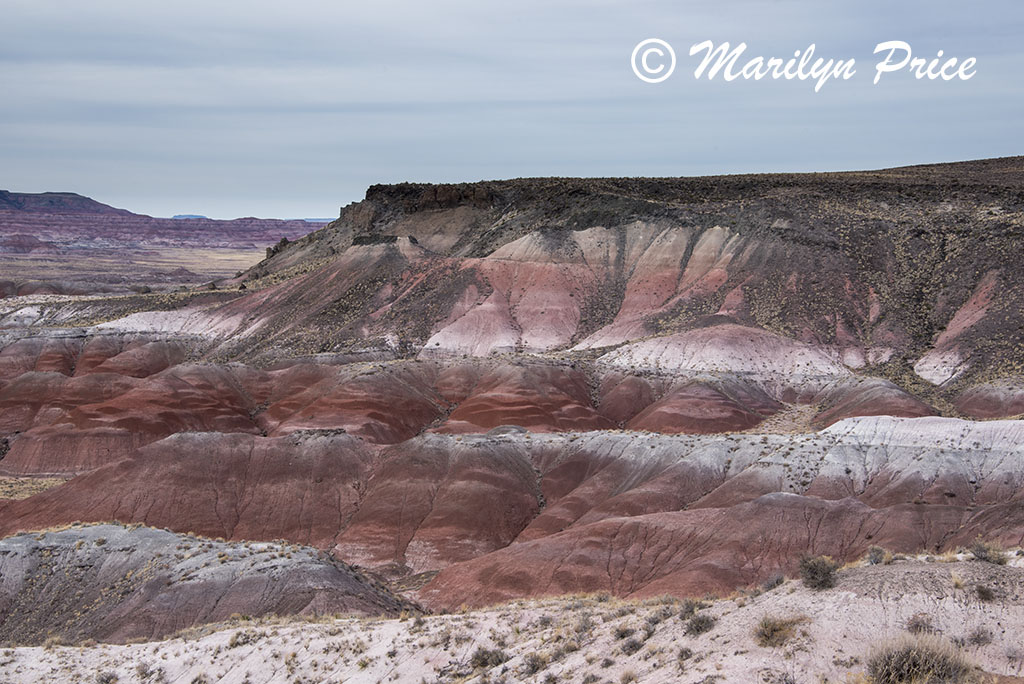 Whipple Point, Painted Desert portion of  Petrified Forest National Park, AZ