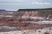 Whipple Point, Painted Desert portion of  Petrified Forest National Park, AZ