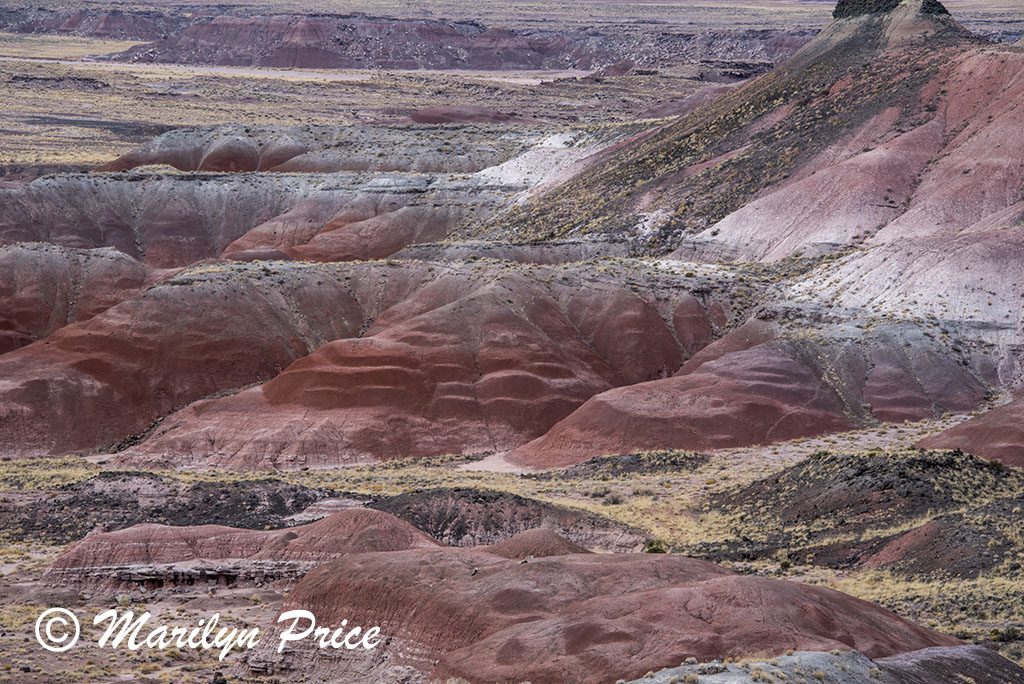 Nizhoni Point, Painted Desert portion of Petrified Forest National Park, AZ