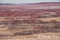 Pintado Point, Painted Desert portion of Petrified Forest National Park, AZ