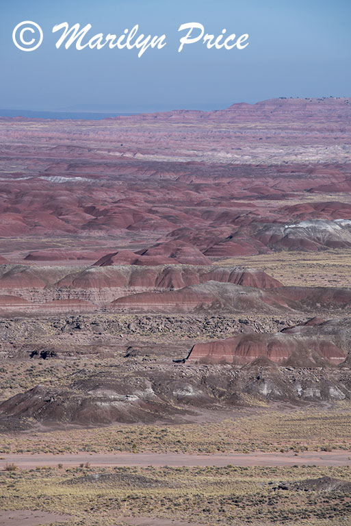 Pintado Point, Painted Desert portion of Petrified Forest National Park, AZ