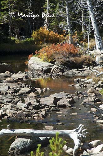 Autumn reflections in Glacier Creek, Mills Lake Trail, Rocky Mountain National Park, CO