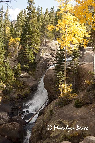 Alberta Falls and autumn aspen, Mills Lake Trail, Rocky Mountain National Park, CO