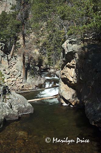 The Pool, Big Thompson River, Fern Falls Trail, Rocky Mountain National Park, CO