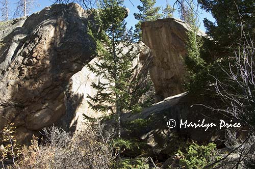 Arch Rocks, Fern Falls Trail, Rocky Mountain National Park, CO