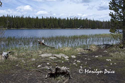 Bierstadt Lake, Rocky Mountain National Park, CO