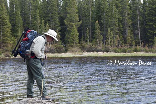 Carl looks for fish in Bierstadt Lake, Rocky Mountain National Park, CO