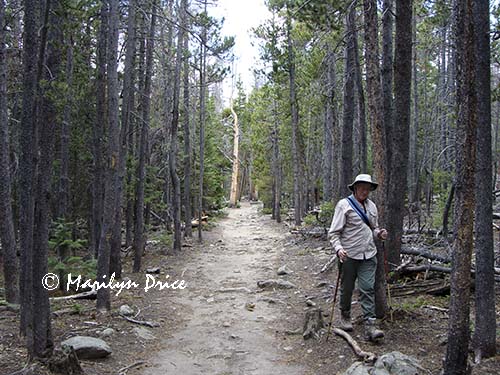 Marilyn and a dead snag, trail between Bierstadt Lake and Bear Lake, Rocky Mountain National Park, CO