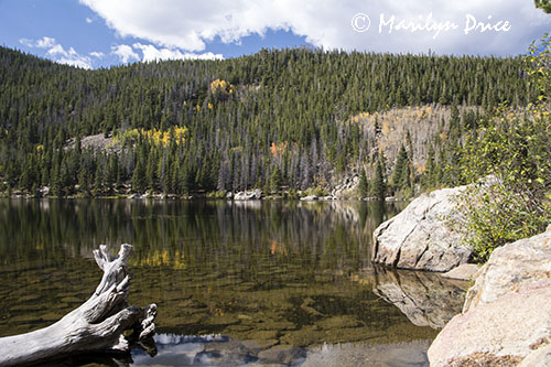 Autumn reflected in Bear Lake, Rocky Mountain National Park, CO
