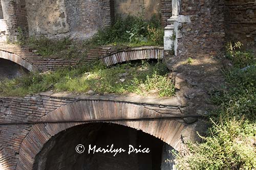 Still excavating, Rome, Italy