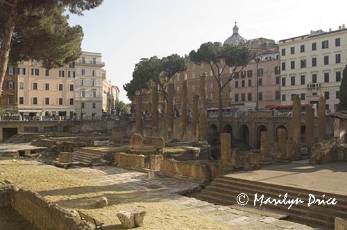 Cat Sanctuary, Area Sacra dell'Argentina, Rome, Italy