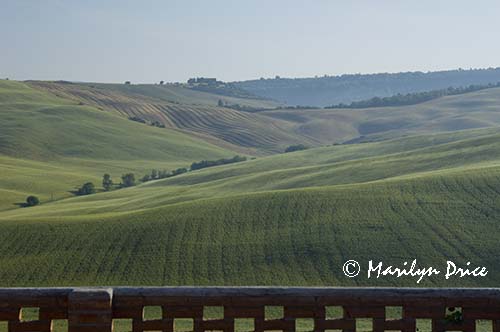 View from our window, Tuscany, Italy
