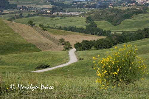 View from our window, Tuscany, Italy