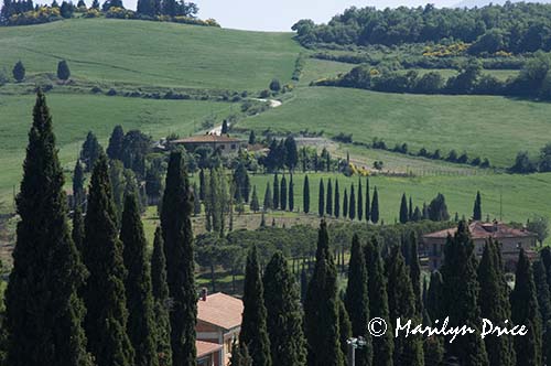Cypress lined roads near Monticchiello, Tuscany, Italy