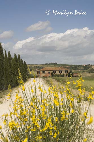 Il Rigo, from the end of its driveway, Tuscany, Italy