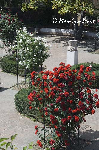Gardena del Rosa, San Quirico d'Orcia, Tuscany, Italy