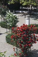 Gardena del Rosa, San Quirico d'Orcia, Tuscany, Italy