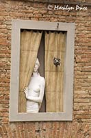 Statue and window, Siena, Tuscany, Italy
