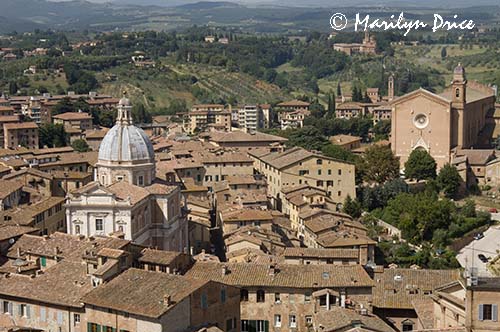 Santa Maria di Provenzano and San Francesco convent, Siena, Tuscany, Italy