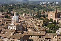 Santa Maria di Provenzano and San Francesco convent, Siena, Tuscany, Italy