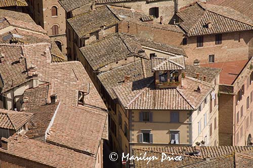 Narrow streets, Siena, Tuscany, Italy