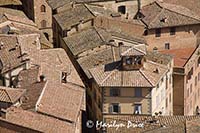 Narrow streets, Siena, Tuscany, Italy