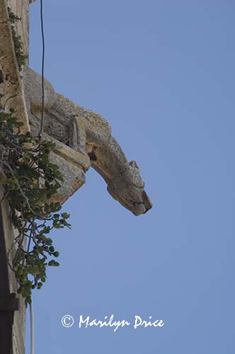 Gargoyle, Torre del Mangia, Siena, Tuscany, Italy